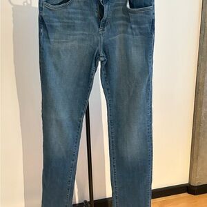 Joe's Jeans Women's Skinny Denim